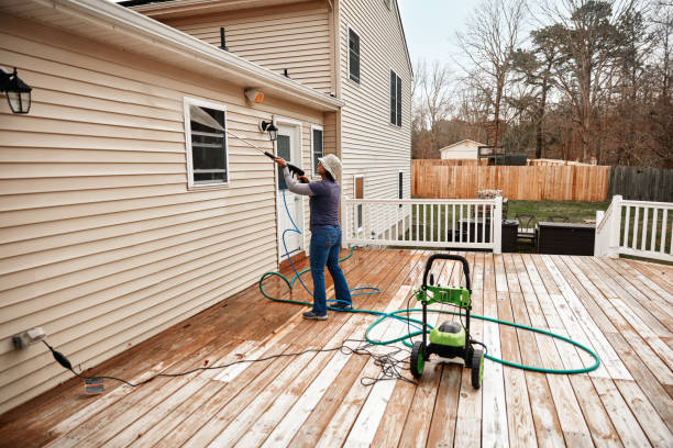 Best Affordable Pressure Washing  in Perham, MN