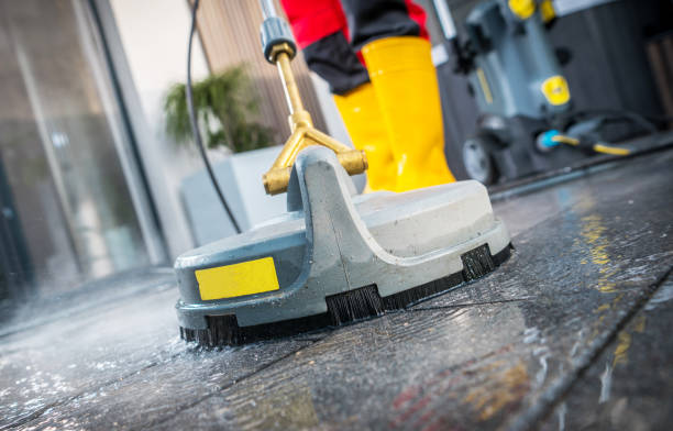 Best Roof Pressure Washing  in Perham, MN
