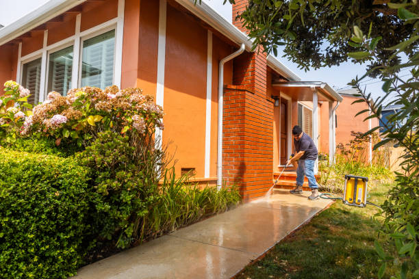 Best Affordable Power Washing  in Perham, MN