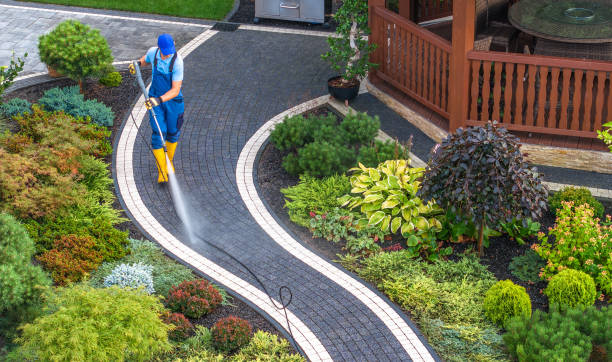 Best Pressure Washing Company Near Me  in Perham, MN