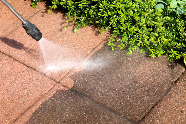 Best Power Washing Near Me  in Perham, MN